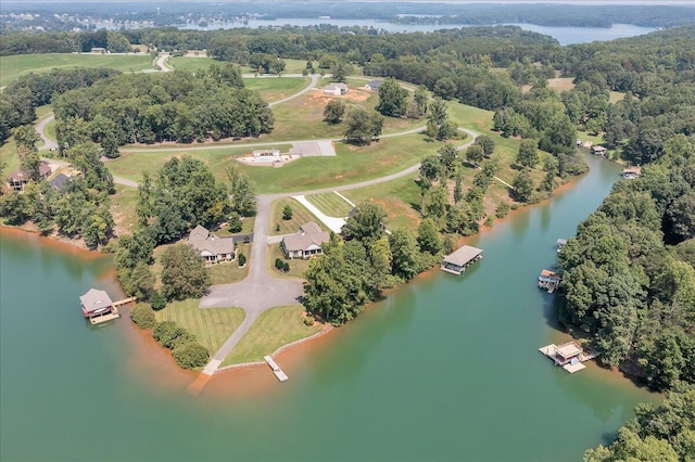 aerial view with a water view and a view of trees