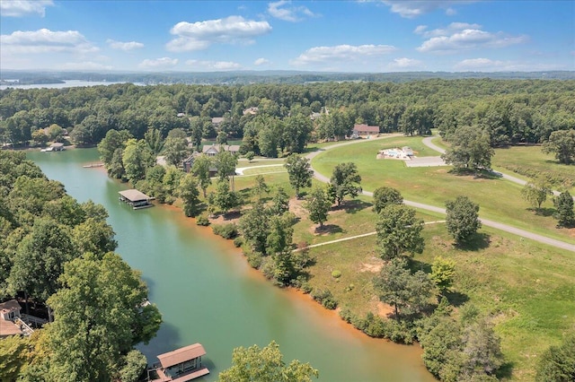 birds eye view of property with a water view and a forest view