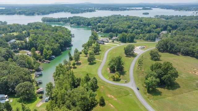 drone / aerial view with a water view and a forest view