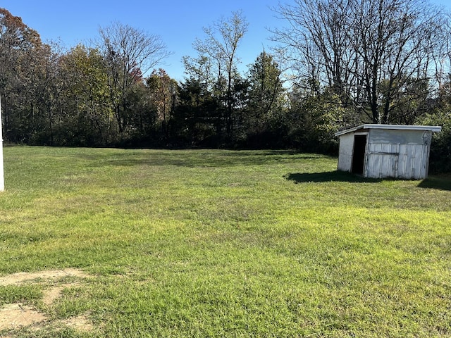 view of yard featuring a storage shed