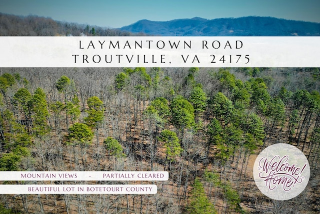 0 Laymantown Rd, Troutville VA, 24175 land for sale