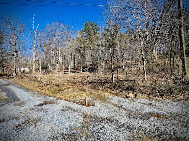 Listing photo 3 for 0 Laymantown Rd, Troutville VA 24175