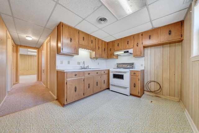 1345 Stone Mill Rd, Hurt, VA 24563 - kitchen with white electric stove, under cabinet range hood, a drop ceiling, light countertops, and wood walls