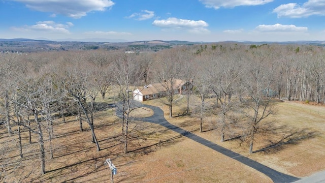 drone / aerial view featuring a mountain view