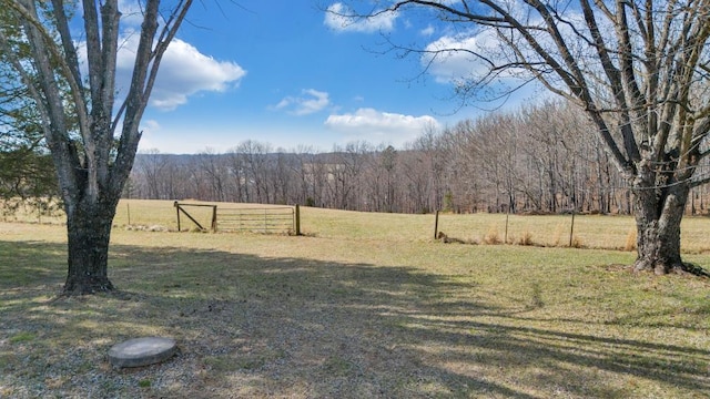 1345 Stone Mill Rd, Hurt, VA 24563 - view of yard with a wooded view and a view of rural / pastoral area