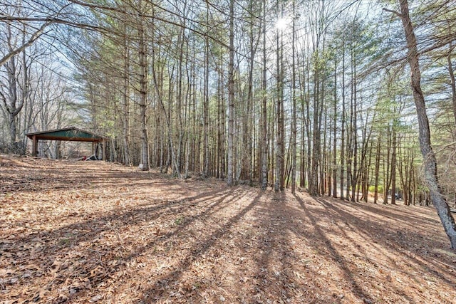 181 Borderline Rd NW, Willis, VA 24380 - view of yard with a carport