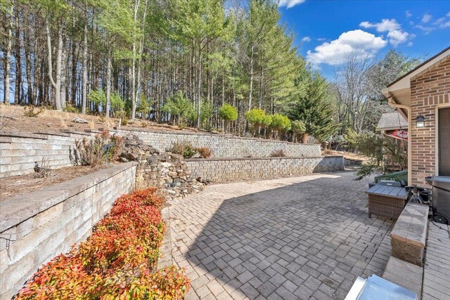 181 Borderline Rd NW, Willis, VA 24380 - view of patio