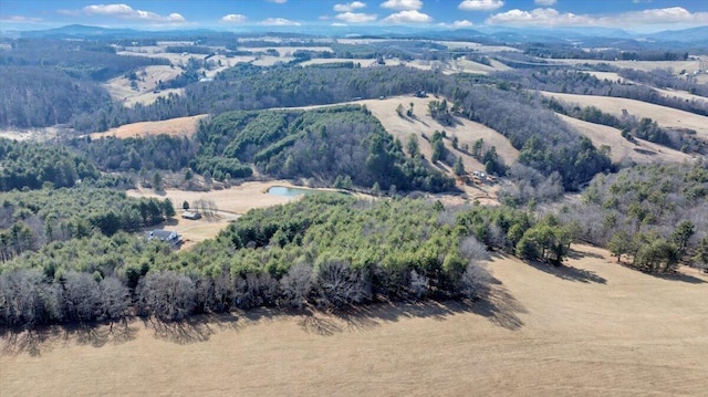 181 Borderline Rd NW, Willis, VA 24380 - drone / aerial view featuring a view of trees