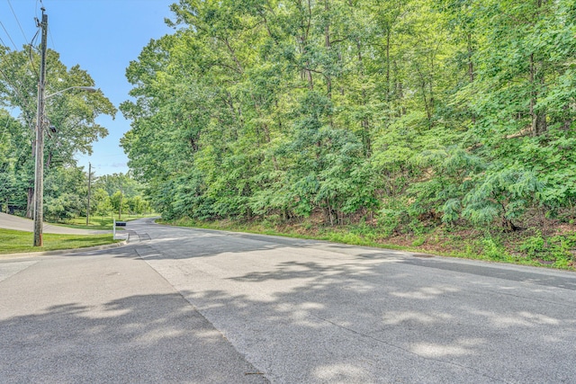 4937 Greenlee Rd SW, Roanoke, VA 24018 - view of asphalt road featuring street lighting and a wooded view