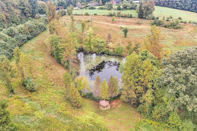 aerial view featuring a rural view and a water view