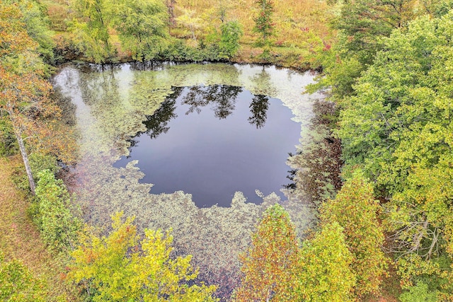 aerial view with a water view and a view of trees