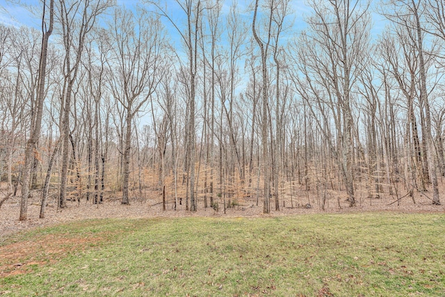 view of yard with a forest view