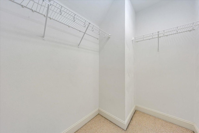 spacious closet with light carpet