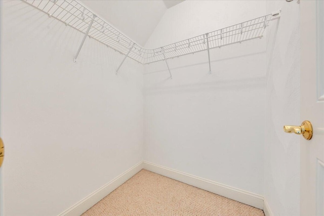 spacious closet with vaulted ceiling