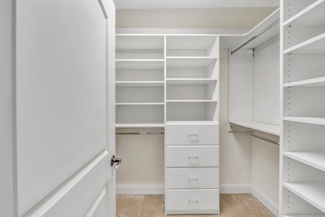 walk in closet featuring light carpet