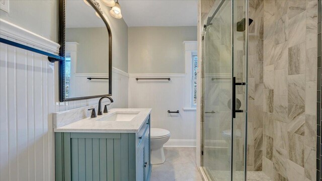 bathroom with a shower stall, toilet, and vanity