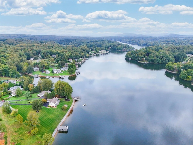 aerial view featuring a water view and a forest view