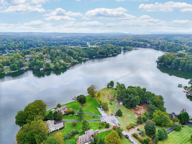 bird's eye view with a forest view and a water view