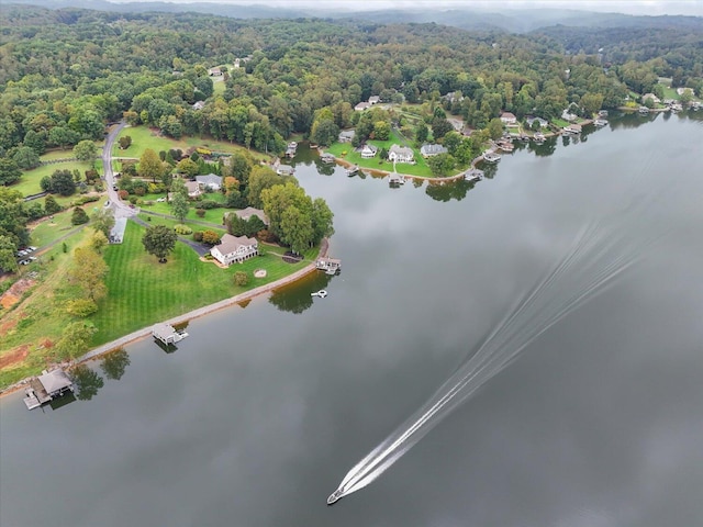 birds eye view of property featuring a water view and a view of trees