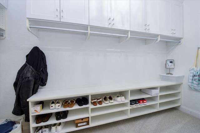 spacious closet featuring carpet floors