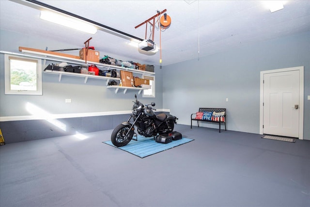 garage with a garage door opener