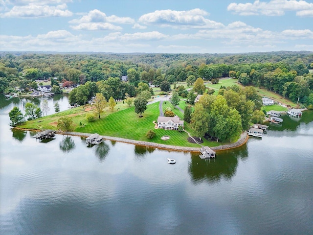 bird's eye view with a water view and a wooded view