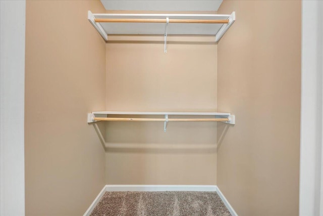 spacious closet with carpet flooring