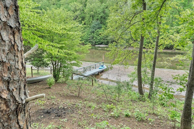view of home's community with a water view and a view of trees