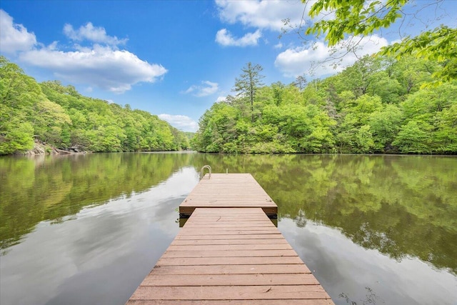 view of dock with a water view and a wooded view
