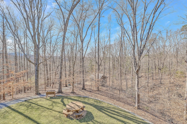 view of yard featuring a wooded view