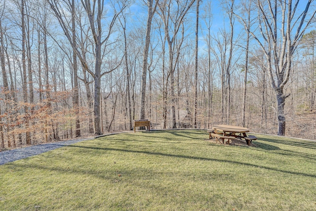 view of yard featuring a wooded view