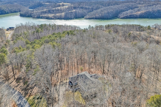 aerial view with a water view and a wooded view