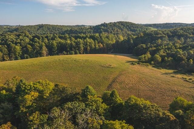 LOT4 Sumpter Rd, Willis VA, 24380 land for sale