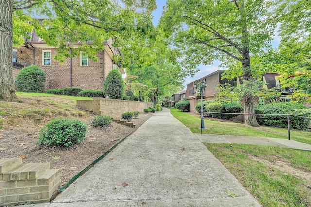 view of community with a lawn