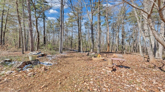 view of yard with a wooded view