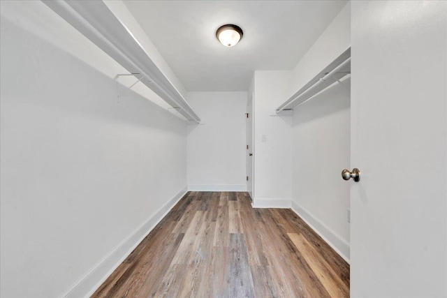 spacious closet featuring wood finished floors