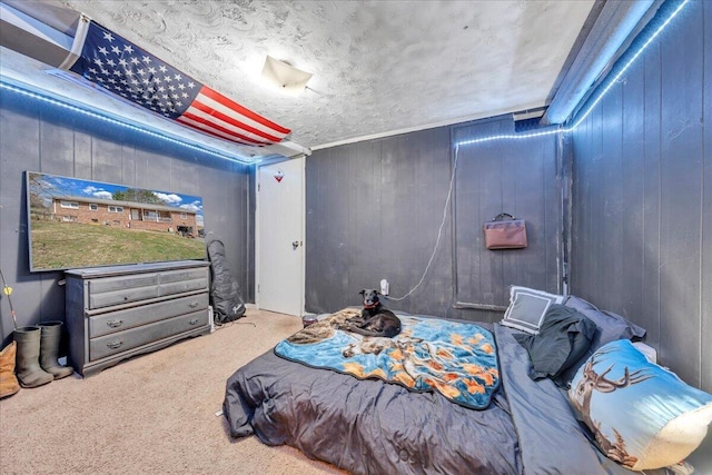 2930 Roanoke St, Christiansburg, VA 24073 - carpeted bedroom with wood walls