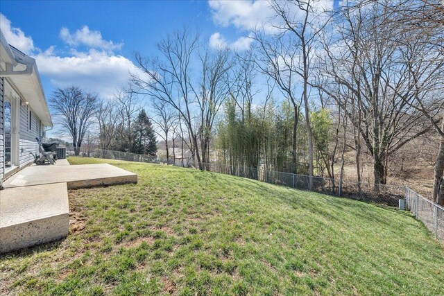 view of yard with a patio area and a fenced backyard