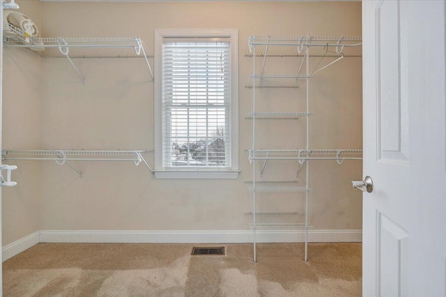 walk in closet featuring carpet floors and visible vents