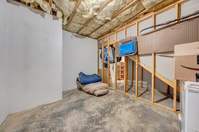 unfinished basement featuring concrete block wall