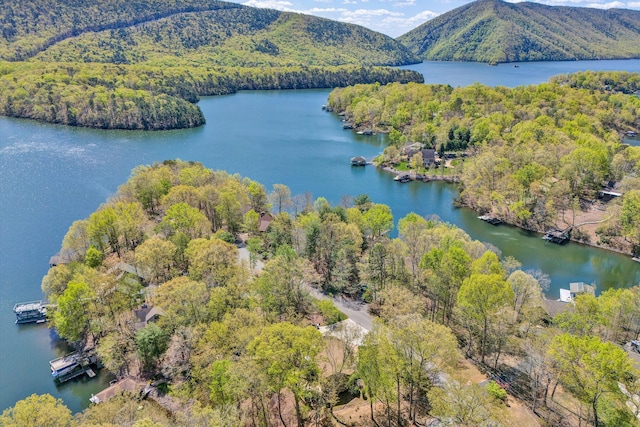 drone / aerial view featuring a water and mountain view and a forest view