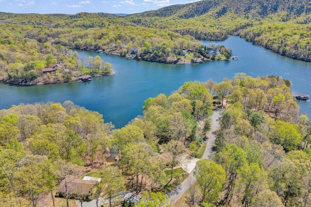 birds eye view of property featuring a wooded view and a water view