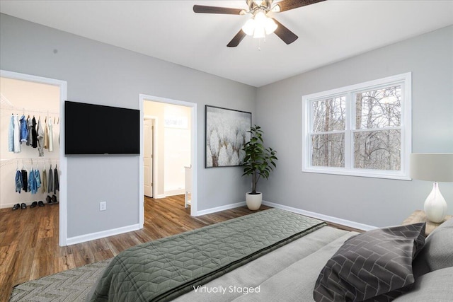 bedroom featuring ceiling fan, baseboards, wood finished floors, a spacious closet, and a closet