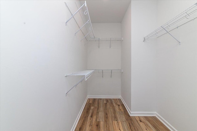 spacious closet with wood finished floors