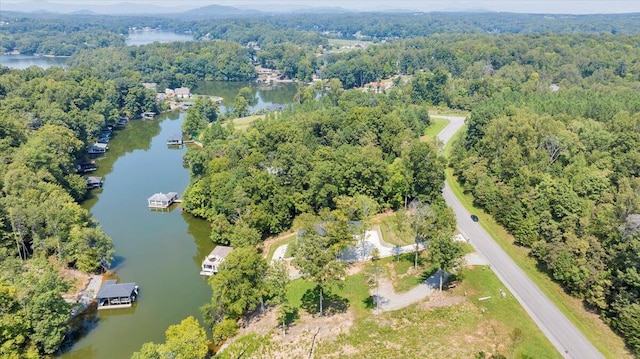 bird's eye view with a water view and a view of trees