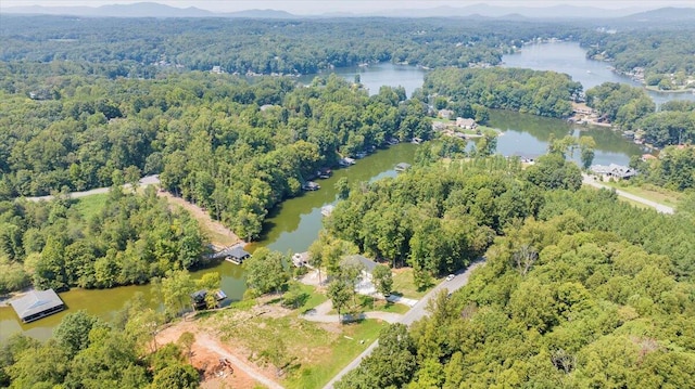 bird's eye view with a water view and a view of trees