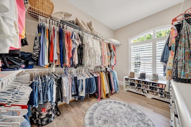 spacious closet featuring light wood finished floors