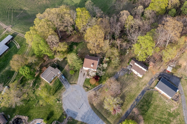 42 Keswick Ct, Troutville, VA 24175 - drone / aerial view