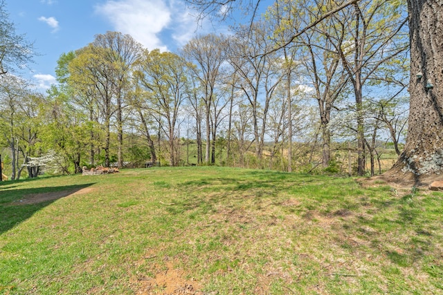 42 Keswick Ct, Troutville, VA 24175 - view of yard