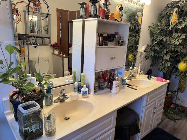 bathroom featuring wood finished floors, a sink, and double vanity